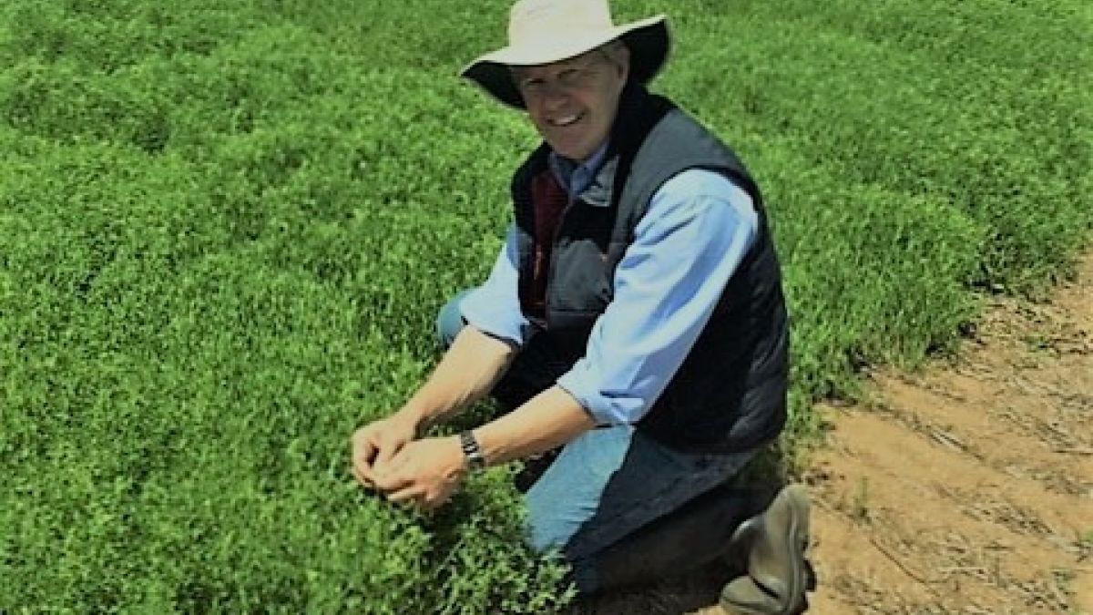 Lentil Trial 3